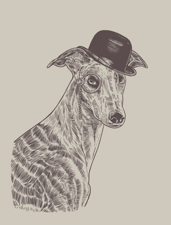 Spanish Galgo wearing funny hat and monocle, hand drawn illustrationのイラスト素材