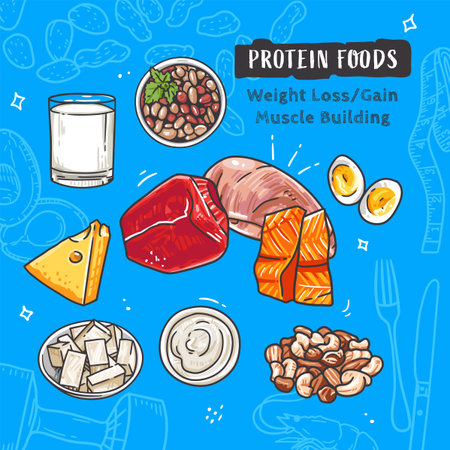 Protein-rich foods on a blue background. Hand-drawn vector illustration.のイラスト素材