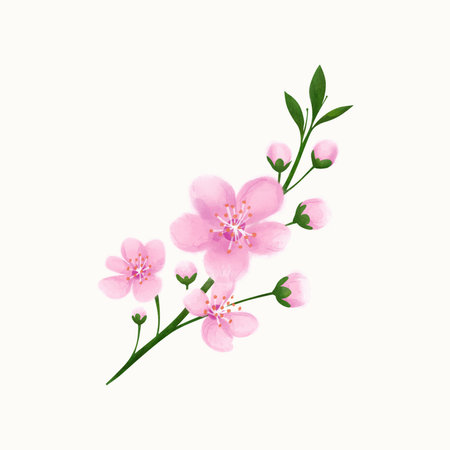 Watercolor cherry blossom branch isolated on light background. Hand drawn vector illustration.のイラスト素材