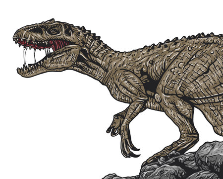 Aggressive tyrannosaurus rex standing on rocks and showing teeth in vintage styleのイラスト素材