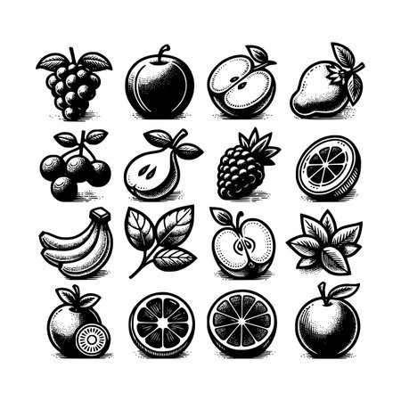 Collection of detailed fruit and berry illustrations in vintage engraving style. Includes apple, orange, pear, banana, kiwi, lemon, grapes, and leavesのイラスト素材