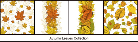 Two sets of seamless pattern and border with colorful autumn leaves on white background. Bright fall collection for frame, package, or wallpaper designのイラスト素材
