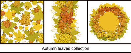 Set of seamless pattern, border, and round card template with colorful handdrawn autumn leaves on white background. Bright fall collection for frame, package, or wallpaper designのイラスト素材
