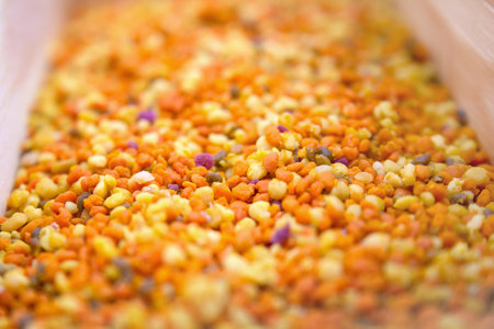 Flowers pollen carried by bees, in a wooden boxの写真素材