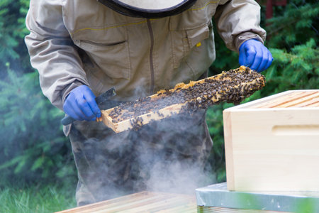 Beekeeper at work on his apiary with smoker next to the beehive