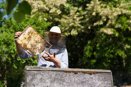 Beekeeper at work by the wooden bee hives. Young farmer in his farm.の写真素材