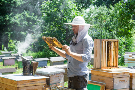 Beekeeper at work by the wooden bee hives. Young farmer in his farm.の写真素材