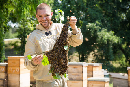 Beekeeper at work by the wooden bee hives. Young farmer in his farm.の写真素材