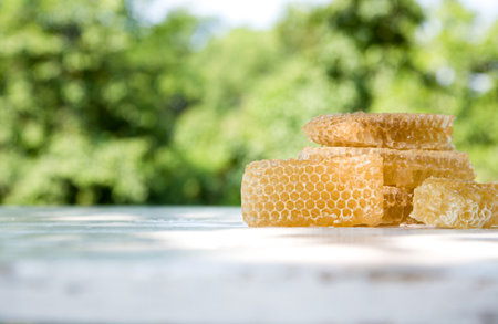 Fresh light bee in honeycombs on a white wooden rustic tableの写真素材