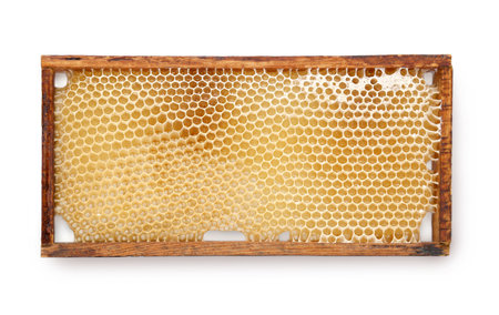 Apiary hive frame with bee honeycombs. Isolated on white backgroundの写真素材