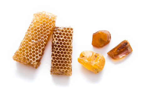 Pieces of honeycomb and natural amber stone. Fresh bee honey pieces on color background.