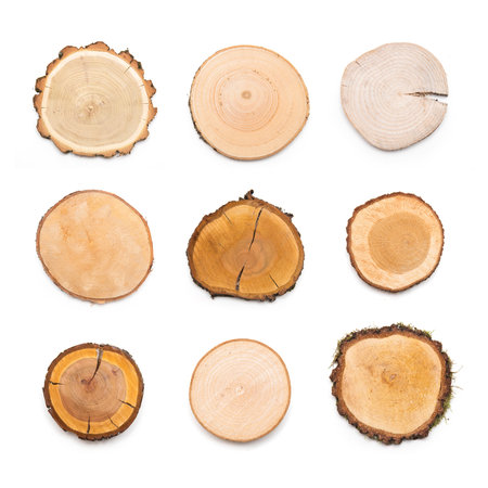 Image of cut dry timber wood profilesの写真素材