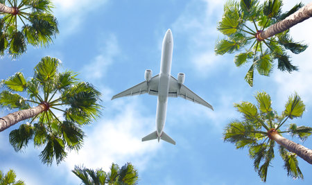 Airplane flying above the palm trees.の写真素材
