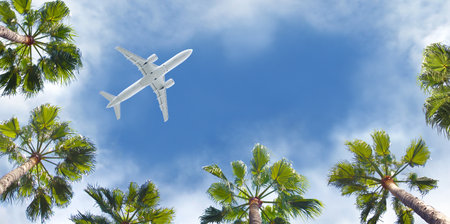 Image of passenger commercial aircraft taken from below, showing the airplane from the bottom side in tropical scenery.の写真素材