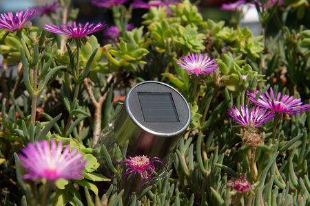 solar panel in flowers, concept idea about solar energy and its increasingly widespread use, tool that combines clean free energy with technology.の写真素材