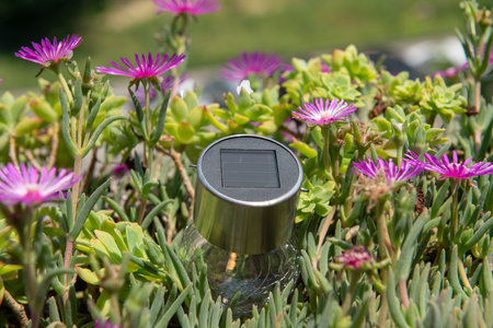 solar panel in flowers, concept idea about solar energy and its increasingly widespread use, tool that combines clean free energy with technology.の写真素材