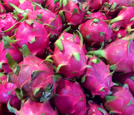 Pitaya asia fruitの素材