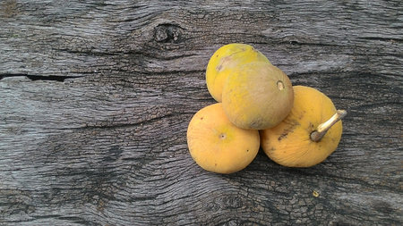 Santol Thai fruitの素材