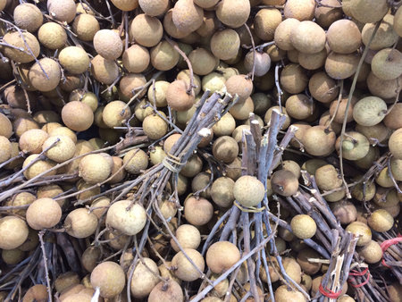 Longan thai fruit の素材