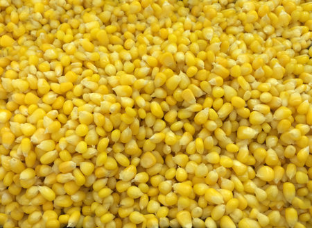 Corn の素材