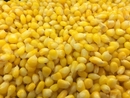Corn  の素材