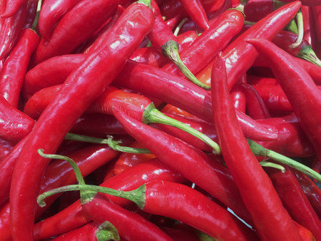 Chilli red colorの素材