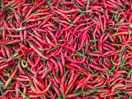 Red chilli peppersの素材