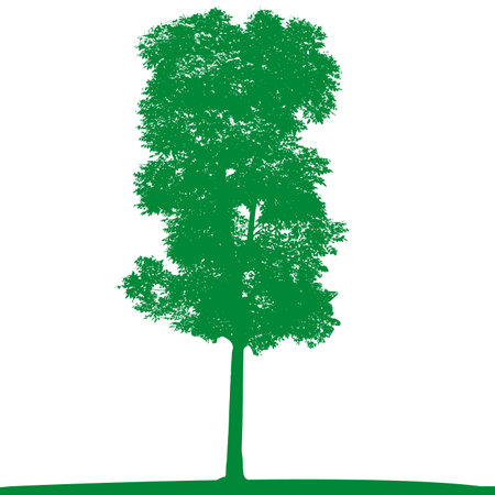 Green Tree のイラスト素材