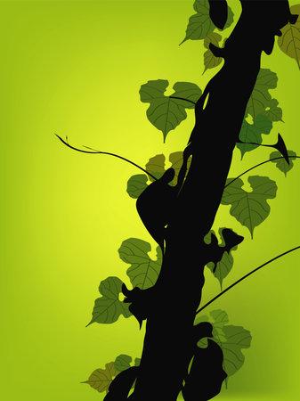 Vine Growing On A Tree  Vectorのイラスト素材