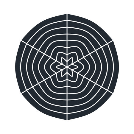 Spider web vector  illustration on white backgroundのイラスト素材