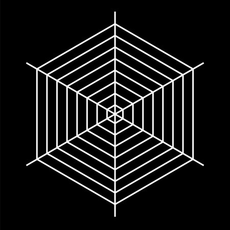 white spider vector illustration on  backgroundのイラスト素材