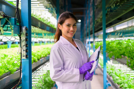 Researchers developing vegetable varieties at greenhouse agricultureの写真素材