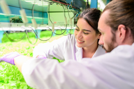 Researchers developing vegetable varieties at greenhouse agriculture