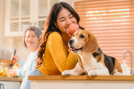 A woman is shown in a friendly interaction with her dog, a playful beagleの写真素材
