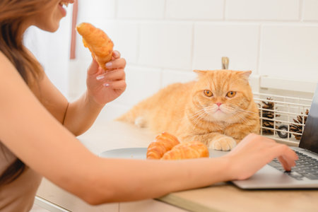 A cat with woman is at home, a young woman with a beautiful kitten in her bedroomの写真素材