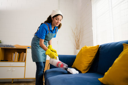 Happy woman cleaning house, Housekeeping and cleaning service, People doing housework at homeの写真素材