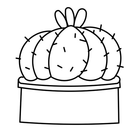 hand drawn doodle botanical cactus plant succulent clipart illustration vector EPS10のイラスト素材