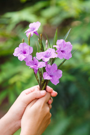 Hand was holding flowers and handed them toの写真素材
