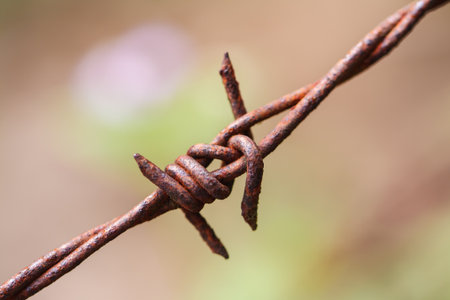 Barbed wire and the intrusionの写真素材