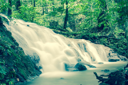 Natural waterfall in the forest fruits