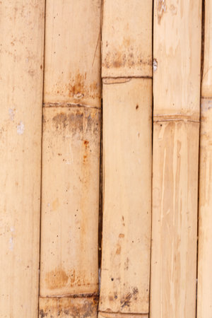 Bamboo wall to tie the set in the backgroundの写真素材