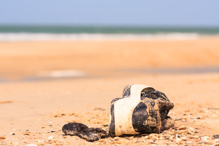 Old shoes on the beachの写真素材