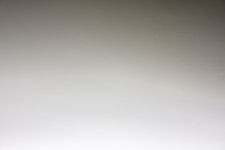 The background is black and white.の写真素材