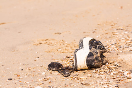 Old shoes on the beachの写真素材