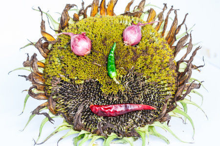 Sunflower wilt smiling on a white background