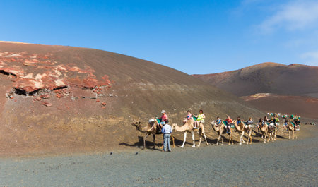 2016: Caravan of camels with tourists in Timanfaya National Park. Camel trek is popular attraction on Lanzarote island., LANZAROTE ISLAND - AUG 18, TIMANFAYA NATIONAL PARKのeditorial素材