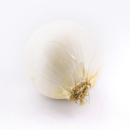 onion isolated on white backgroundの写真素材