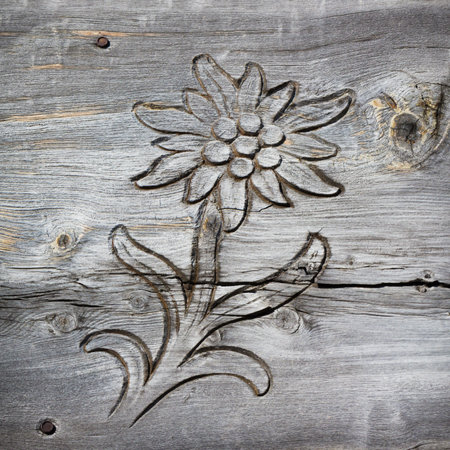 wooden board with edelweiss shaped cut outの写真素材