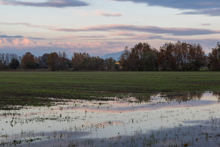 flooded field with reflections of the sunsetの写真素材