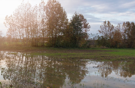 flooded field with reflections of the sunsetの写真素材